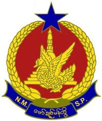 nmsp logo
