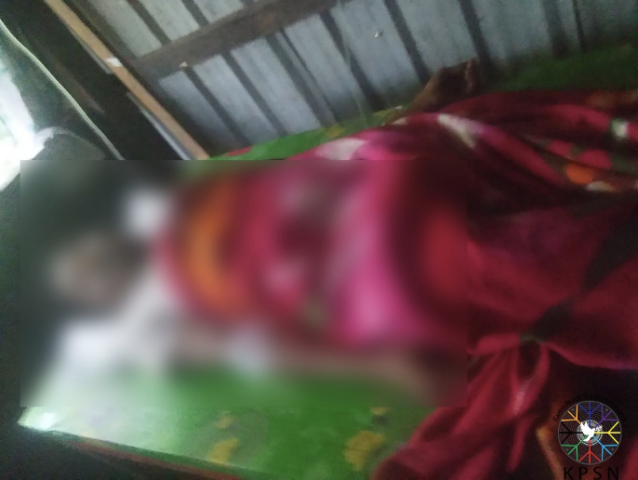 Nearly 20 civilians killed in Tanintharyi Region in one month
