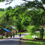 Thantaung-Taungoo Road