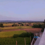 Ye Myat Kyi