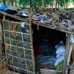 Ann_IDP Camp
