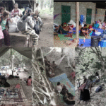 IDP-Dawei