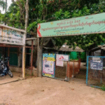 MSF Clinic