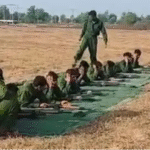 SAC_Training