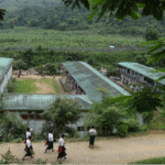 School_KIA