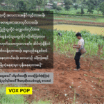 Demawso_Farmer