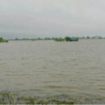 Pong_Flood